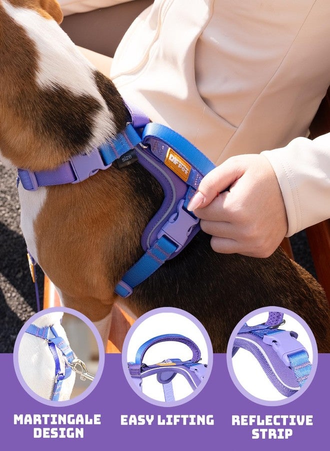 DF Freedom No Pull Martingale Dog Harness and Leash Set, Front Clip Adjustable Harness with Reflective & Padded Handle, Easy Walking & Training, Rainbow, 1", Chest 24.4" - 32.4" - Image 2